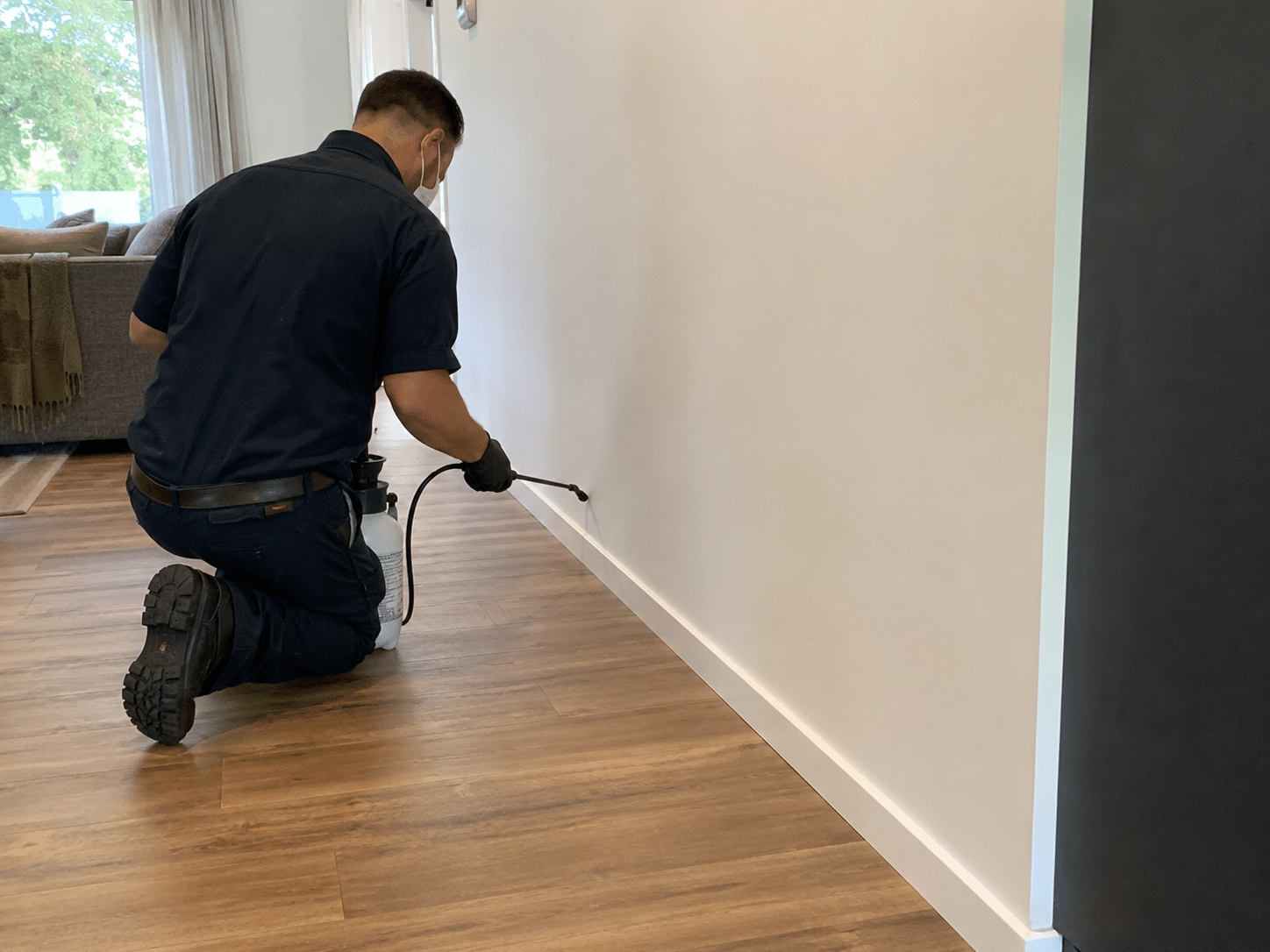 Same-day cockroach treatment in Sydney by Apex Pest Control