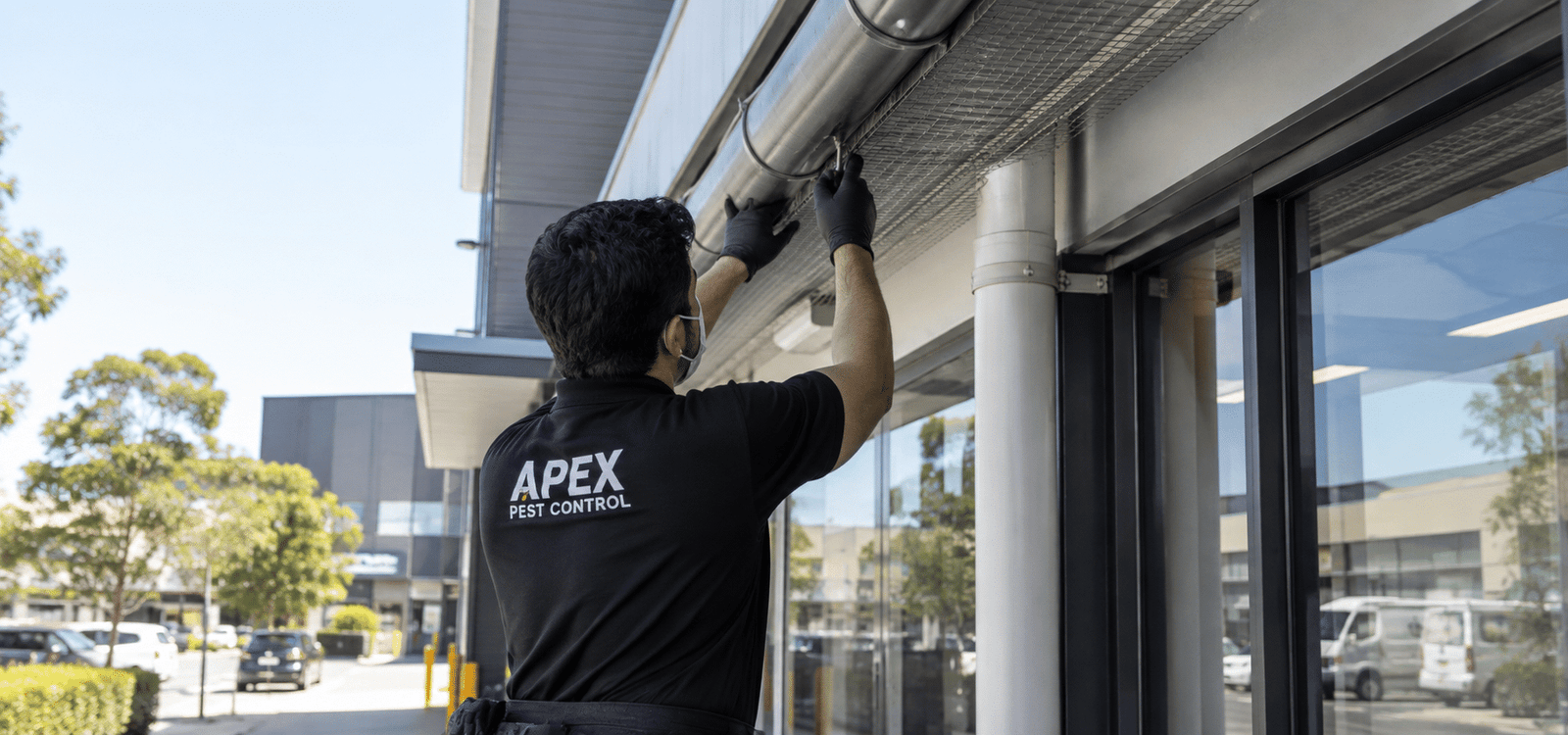 Commercial bird removal and bird netting on a Sydney building