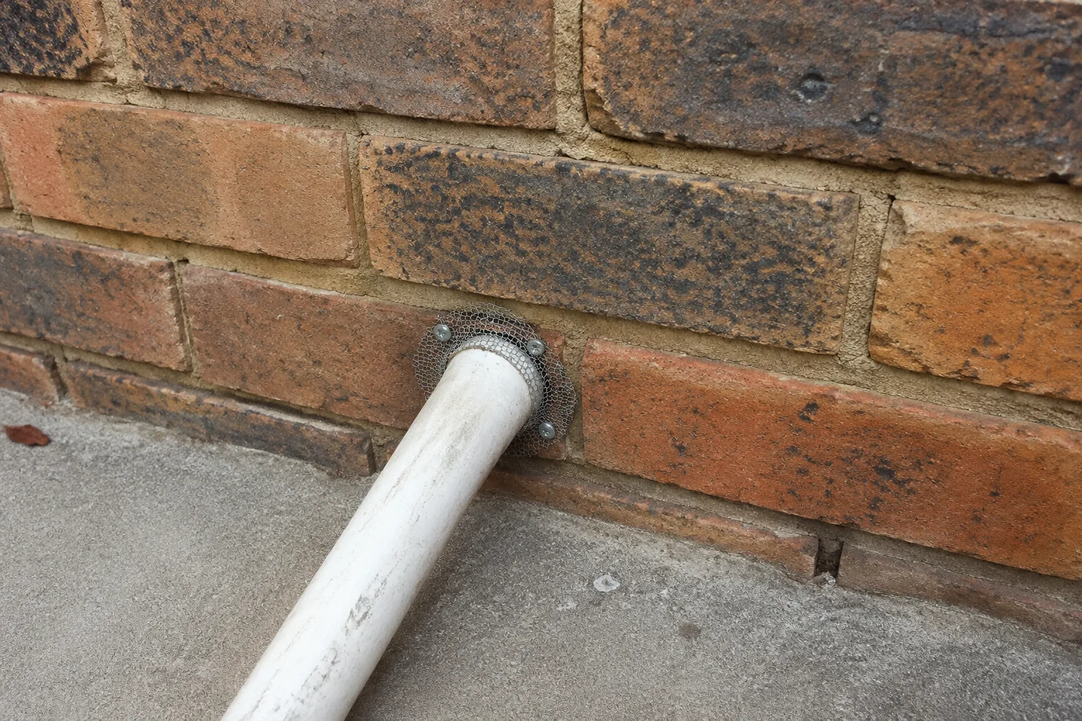 Illustration of exclusion mesh fitted around a residential pipe penetration